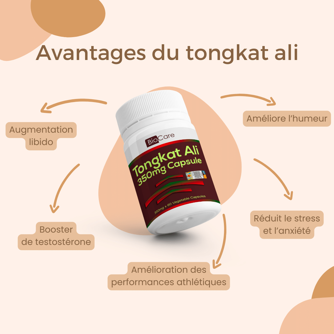 Les bienfaits du tongkat ali prouvés scientifiquement